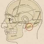 Bipolar Binaural Galvanic Vestibular Stimulation